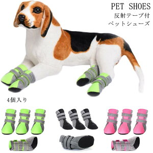 ˃e[vt ybgV[Y 4 hbOV[Y pV[Y ی ^ ^ ^ ybgp یV[Y N p pC pi ی PK  pi ybgpi h