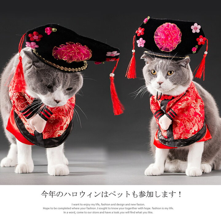 1024円 SALE ペット 帽子 ハロウィン コスプレ 衣装 アクセサリー 猫 変身着 ハロウィングッズ 1024円 SALE ペット 帽子 ハロウィン コスプレ 衣装 アクセサリー 猫 変身着 ハロウィングッズ