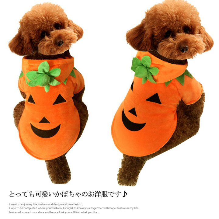 楽天市場 かぼちゃ パンプキン 犬服 仮装 ハロウィン 仮装 福見る店