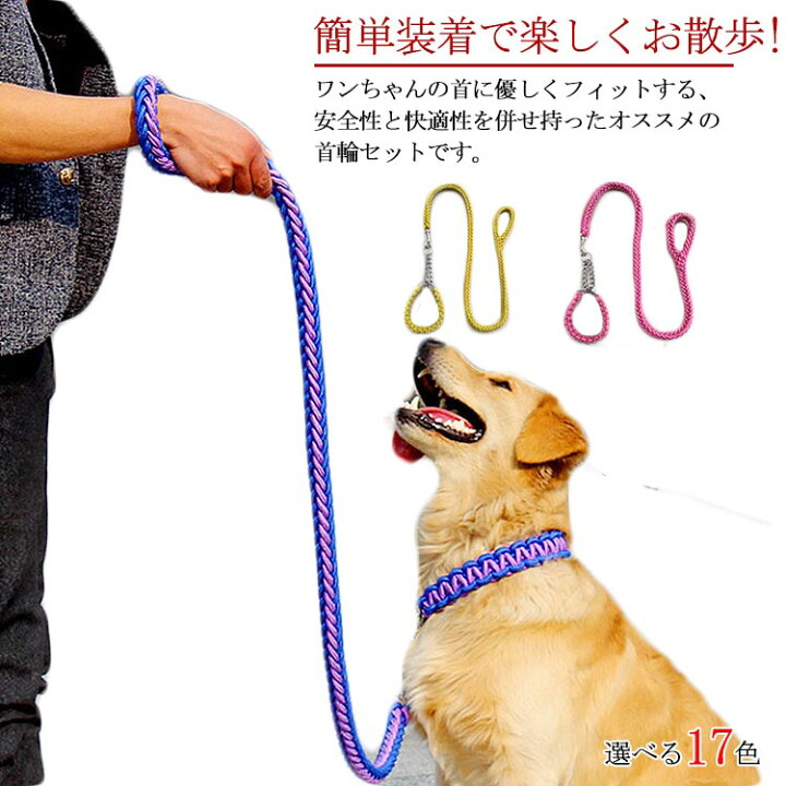 楽天市場 リードと首輪セット 首輪セット リードセット 首輪 2点セット 小型犬 中型犬 大型犬 犬 首輪 犬用 リード 散歩 お出かけ ドック用品 ドッググッズ ペット用 おでかけ用品 お散歩アイテム 福見る店