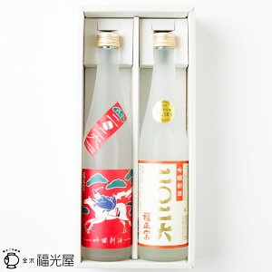 y|Cg10{I416܂Łz@ ΎL V 500mL 2e1{ ϔ đ Mtg x xx VtMtg ΐ쌧 s  蕨 j Ε