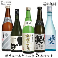 日本酒 飲み比べボリュームセット 720ml 四号瓶 5本 飲み比べ 送料無料 酒蔵直送 福光屋 ギフト 純米 加…