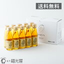 送料無料 VATEN バテン 100ml 10本入 ミトコンドリア活躍飲料 栄養ドリンク エナジードリンク ノンカフェイン 無添加 甘味料不使用 お米発酵飲料 アミノ酸 クエン酸 健康 美容 天然成分 ミトコンドリア 妊活 28品目 アレルゲンフリー