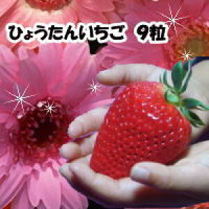   C`S Ђ傤񂢂 ݂ Yn 嗱 TCY 9 Mtg C`S  嗱 傫 蕨  Â HiMtg Ԃ j  