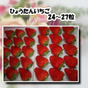  C`S  Ђ傤񂢂 ݂ y 嗱   24`27z Â  Mtg 蕨    傫C`S Â  j i C`S Â 