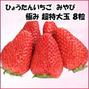   C`S Ђ傤񂢂 ݂  Yn 嗱 8 Mtg C`S  嗱 傫 蕨 傫C`S Â HiMtg Ԃ j  