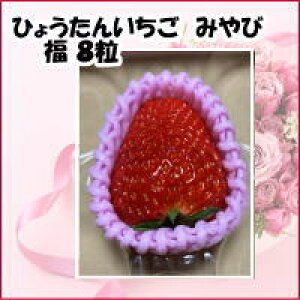   C`S Ђ傤񂢂 ݂  Yn 嗱 8 Mtg C`S  嗱  傫 蕨  Â HiMtg Ԃ j  