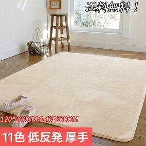 120*200CM/140*200CM���O ���O�}�b�g �J�[�y�b�g ���r���O�Ή� �����` �I�[���V�[�Y�� ������� �􂦂� ����~�� 11�F ���� �ᔽ�� �k���� �I�V���� �₦�Ǒ�