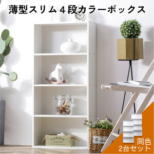 AEgbg^4iJ[{bNX 2Zbg i`J[