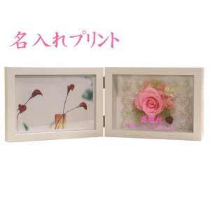 s  Ή t vU[uh t[ NbN v SD-5631Y | bZ[W  Mtg  v[g v|[Y o KN  ޏ ʐ^c j Ď e