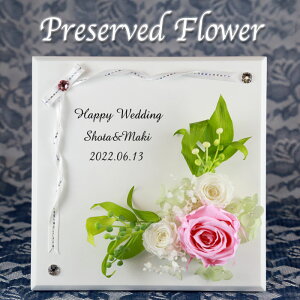 ݌Ɍ聦y   zUV vU[uh t[ t[sXNGAt I ̓ j  j  Ê a v[g O Mtg  t[ NbN EG