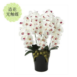 新築祝い 造花の人気商品 通販 価格比較 価格 Com