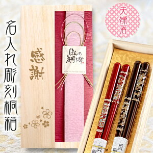 y ˔  z vw y23cm×21cmz| yA Zbg  킢 hV̓ j   v[g Mtg vw LO a  ⍥ Ď  j ͂  