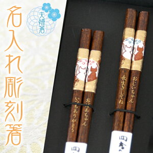 y vw  z ܂˂ ꒤ vwZbg u[23cm&bh21cm  킢 hV̓@j   v[g Mtg a vw LO  ꔢ 