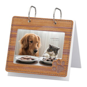 ʌ聖yz ߂^ Ao & tHgt[ yAL47-P/NT BR zhi | ybg A t[ hbO Lbg  L LOi Mtg v[g LADONNA ؐ ʐ^ X