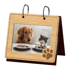 ʌ聖yz ߂^ Ao & tHgt[ yAL47-P/NT BR zhi | ybg A t[ hbO Lbg  L LOi Mtg v[g LADONNA ؐ ʐ^ X