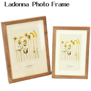 yLADONNA hizyDF53-P z|XgJ[hؐtHgt[PTCY AVANTIyyMt_zyyMt_̂z/ʃtHgt[/t[/ؐ/ʐ^/Ao/j/LOi/oYj/