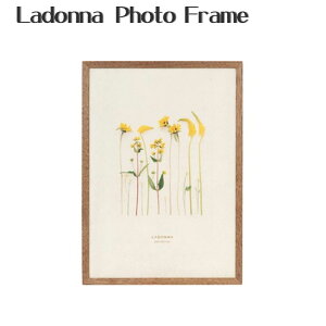 yLADONNA hizyDF53-A4 zؐtHgt[AVANTI yyMt_zyyMt_̂z/ʃtHgt[/t[/ؐ/ʐ^/Ao/j/LOi/oYj/j/j/ސE