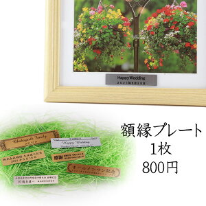 ʐ^z p v[g IWi  A ^Cg tHgt[ ʐ^t[ v[g LO zp