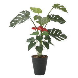 y [J[i z ̊y 203H140(F) XeAX[95 | ϗtA ^  tFCN CeA  Zbg lH j v[g L G} Mtg JXj