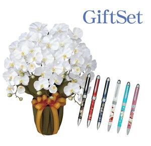 y   z Ղ炷 s SILOR n[LeB y t GKgӒ 452A80-kitty MtgZbg | Mtg Zbg   Z[[ ͂낤Ă {[y y Zbg 