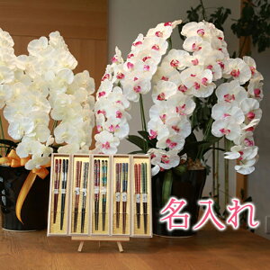 y   z Ղ炷 s ˔ vw t v~AӒ5{ 651K200-hashi2 MtgZbg | Mtg Zbg vw ˔  ͂  yA 킢  v[g ̊y