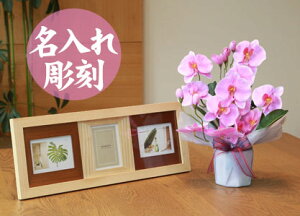 y   z Ղ炷 s Ebh tHgt[ ( 3 )t t@mӒ 68K28-cw30-30 MtgZbg | Mtg Zbg Ǌ| ʐ^ ʐ^z ؐ   Zbg 傫 