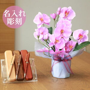 y   z Ղ炷 s ؐ{[y & P[XZbg t t@mӒ68K28-mokupenset MtgZbg | җj ސELOi ƋLOi j j v[g ̓ 