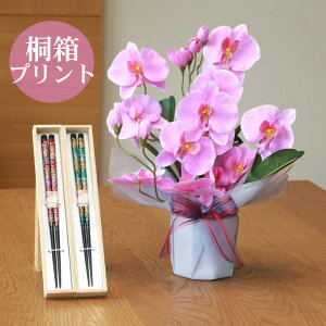 y   z Ղ炷 s ˔ V t t@mӒ 68a25-hashi1 MtgZbg | Mtg Zbg ˔  ͂  V Zbg V 킢  v[g ̊y