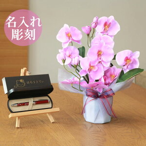 y   z Ղ炷 s SILOR n[LeB y t t@mӒ 68K28-kitty MtgZbg | Mtg Zbg   Z[[ ͂낤Ă {[y y Zbg u