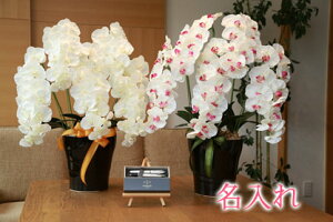 y   z Ղ炷 s PARKER IM{[y & NM t v~AӒ5{ 651a180-parkerimct-set MtgZbg | Mtg Zbg   p[J[ IM {[y y Zbg