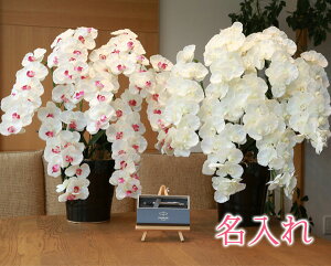 y   z Ղ炷 s PARKER , IM{[yt v~AӒ7{ 657-8a250-parkerimct MtgZbg| Mtg Zbg   p[J[ IM {[y y uh 킢