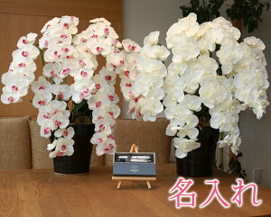 y   z Ղ炷 s PARKER IM{[y & NM t v~AӒ7{ 657-8a250-parkerimct-set MtgZbg | Mtg Zbg   {[y y Zbg uh 