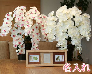 y   z Ղ炷 s Ebh tHgt[ ( 3 )t v~AӒ7{ 657-8a250-cw30-30 MtgZbg | Mtg Zbg Ǌ| ʐ^ ʐ^z  ؐ  Zbg 