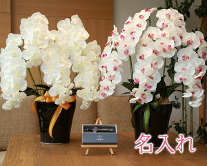 y   z Ղ炷 s PARKER , IM{[y t v~AӒ5{ 651K200-parkerimct MtgZbg | Mtg Zbg   p[J[ IM {[y y Zbg uh 