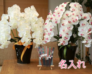 y   z Ղ炷 s ˔ vw t̊y v~AӒ W/AB 653K200-78 MtgZbg