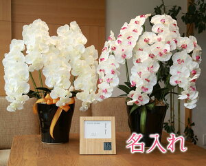 y   z Ղ炷 s | tHgt[ NbN t v~AӒ5{ 651K200-8882 MtgZbg | Mtg v NbN  uh uv Ǌ| dg ʐ^