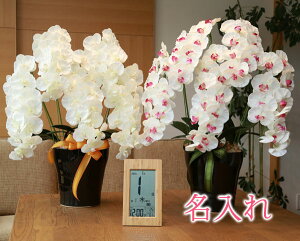 y   z Ղ炷 s | ߂ dgv t v~AӒ5{ 651-3a180-T-8656 MtgZbg | Mtg v NbN  uh | uv Ǌ| dg v[