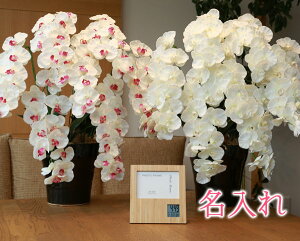 y   z Ղ炷 s | tHgt[ NbN t v~AӒ7{ 651-3a180-8882 MtgZbg | Mtg v uh uv Ǌ| ʐ^ ʐ^z dg v[