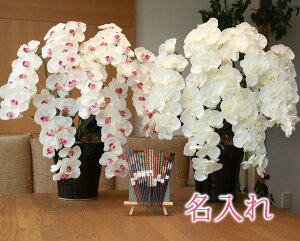 y   z Ղ炷 s ˔ V t v~AӒ7{ 657-8a250-hashi1 MtgZbg | Mtg Zbg ˔  ͂  V Zbg V 킢  v[