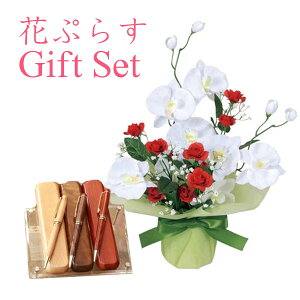 y   z Ղ炷 s ؐ{[y & P[XZbg t uCgӒ 64a30-mokupenset MtgZbg | җj ސELOi ƋLOi j j v[g ̓ 