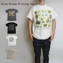 楽天市場】atlast&co（Tシャツ・カットソー｜トップス）：メンズ 