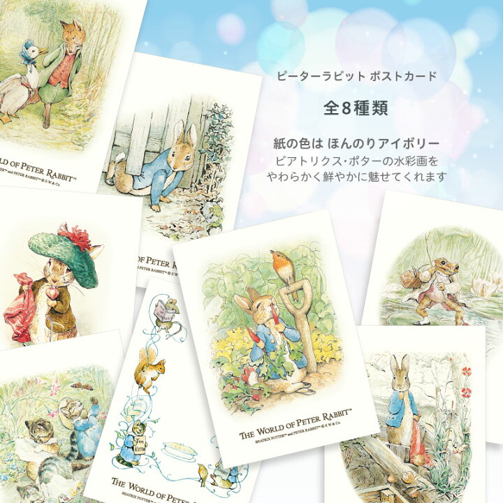 楽天市場 ピーターラビット ポストカード もぐりこむピーター かわいい ビアトリクス ポター 楽しい 挿絵 水彩画 イラスト ピーターラビットのおはなし 雑貨ふくらむshop