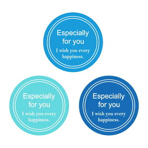 Ɩp Hip MtgV[ X^CbVC u[ 1300Г #007064729