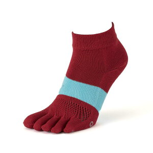 [^rI] [VOܖ{w\bNX X|[c\bNX