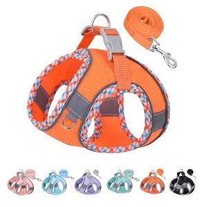 JHIFHG ybgpn[lX n[lX^̃n[lX ^sAjOAg[jOɕ֗Ȍpn[lXƃxgZbg^pn[lXA^pn[lX (S, IWF)