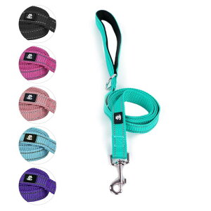 NESTROAD 犬用リード 夜間反射 持ちやすい 長さ1.5M 小型犬・中型犬・大型犬用 手に優しい犬リード 訓練 散歩 ロング 脱走防止 軽量 ナイロン製(グリーン,1本)