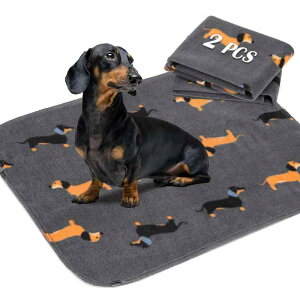  ybgV[c 􂦂ybgV[c pbh Rh~ h}bg ~  JԂgp\ @Ŋې ^ ^ L pi60×45cm 2Zbgj