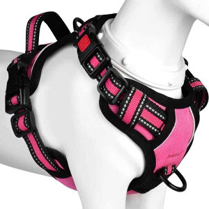 [2025ŐV^n[lX]BaoCheng p ^/^/^n[lX p h~ A^}ʂ P݌y TCY\ Ԕˍ Ȃ ʋC ȒPE 