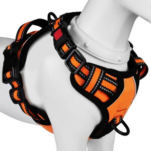 [2025ŐV^n[lX]BaoCheng p ^/^/^n[lX p h~ A^}ʂ P݌y TCY\ Ԕˍ Ȃ ʋC ȒPE 